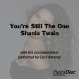 You re Still the One - Shania Twain Fashion