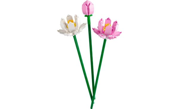 40647 | LEGO® Iconic Lotus Flowers Online