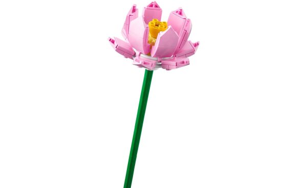 40647 | LEGO® Iconic Lotus Flowers Online