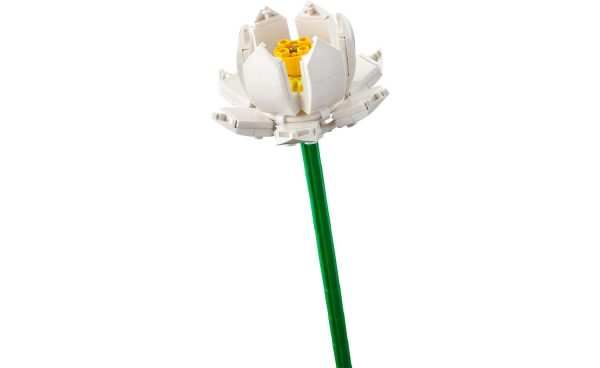 40647 | LEGO® Iconic Lotus Flowers Online