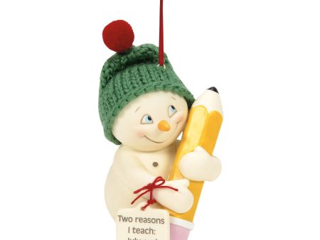 Two Reasons I Teach ornament For Sale