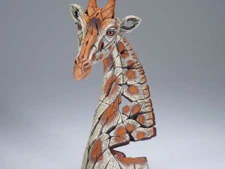 Miniature Giraffe Bust For Sale