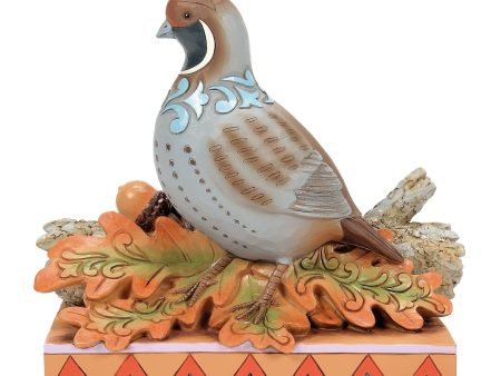 Quail Sitting on Leaves Fig Online