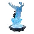 Harry & Light Up Patronus Cheap