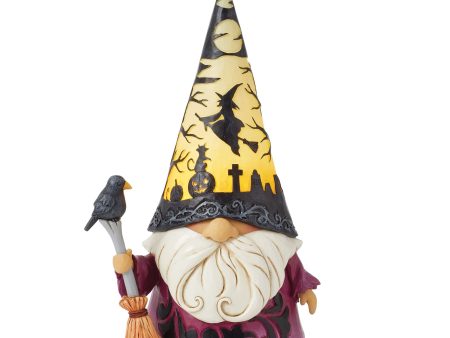 Wizard with LED Scene Hat Fig Hot on Sale