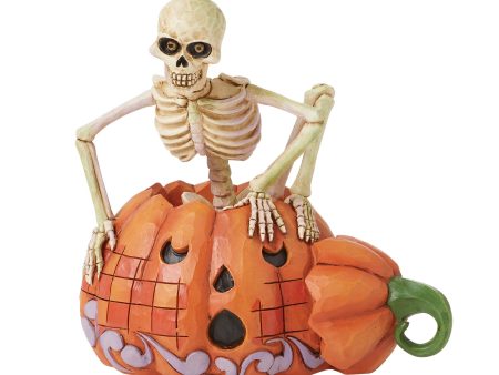 Skeleton Pop Out Pumpkin Fig Online Sale