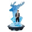 Harry & Light Up Patronus Cheap