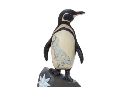 Galapagos Penguin For Sale