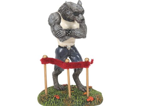 Silverback Bouncer Online Hot Sale