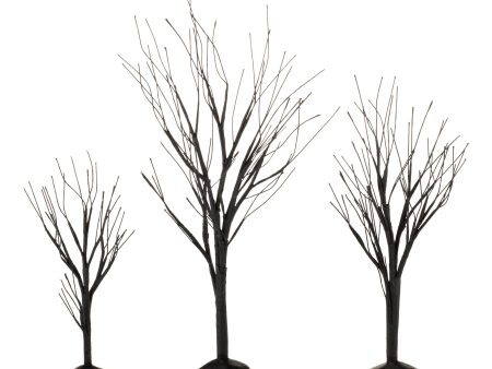 Black Bare Branch Trees, St 3 Sale