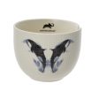 Animal Planet Ramen Bowl Online Hot Sale