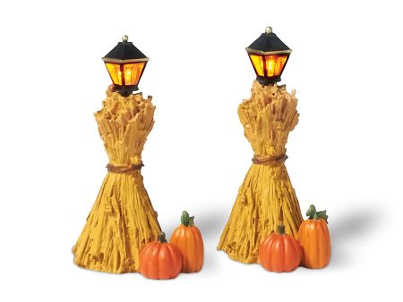 Corn Stalk Lanterns Fashion