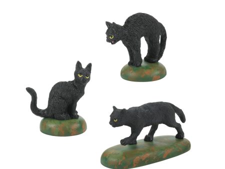 A Clowder Of Black Cats Online Hot Sale