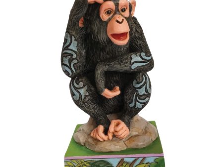 Chimpanzee Online Sale