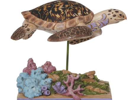 Hawksbill Sea Turtle Fashion