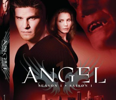 ANGEL: SEASON 1 For Sale